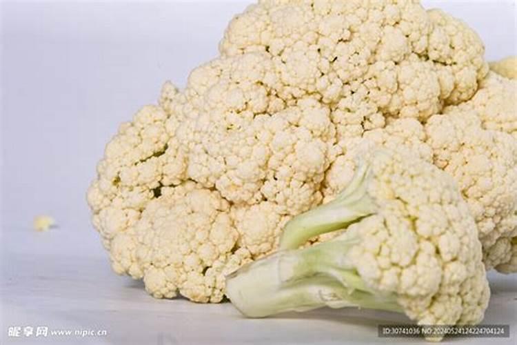 请问贵州目前在运行的火电厂有多少家？大一点的有几家？最好是有名单...