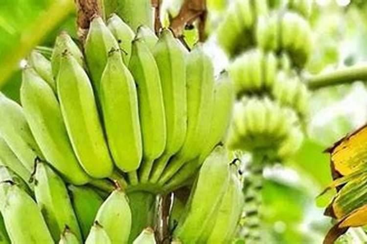 为什么氮磷钾肥经过水一泡就会减弱？详细点。