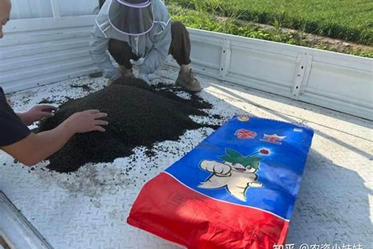 种土豆用什么肥好