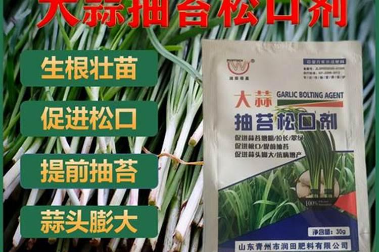 芸苔素使用技巧