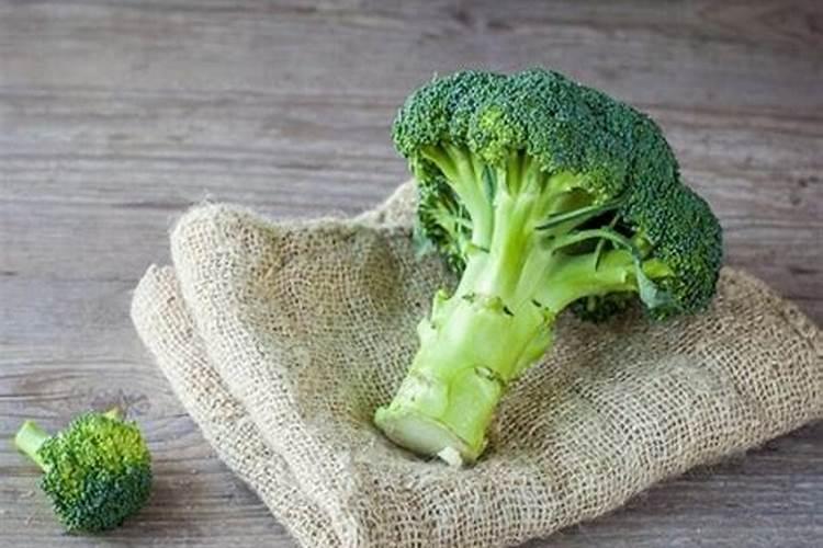 有机肥料加工厂需要多少投资 需要办理哪些手续