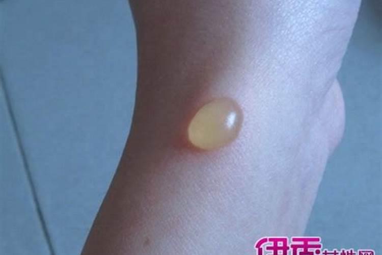 菜地常用的氮化肥有哪几种？各有什么特性？