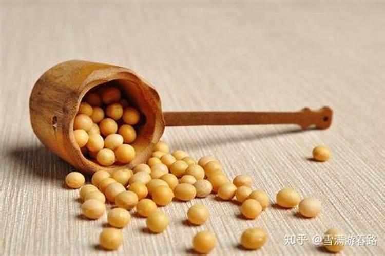黄豆水是氮肥还是磷肥