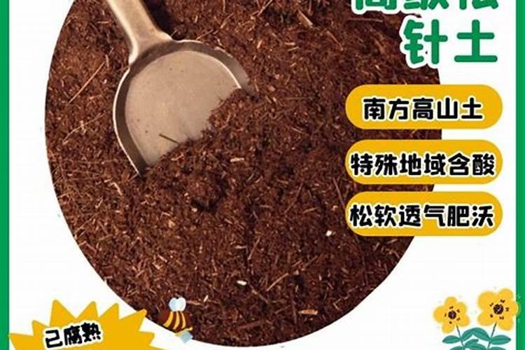 君子兰16斤腐叶土配多少松针