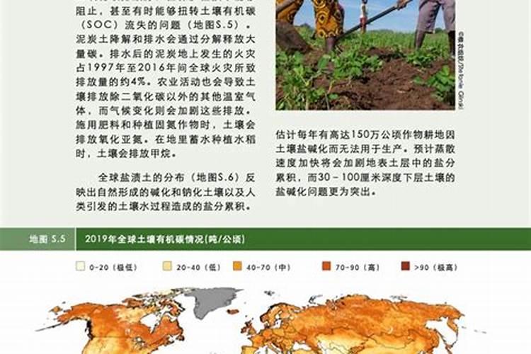 国内比较好水溶肥厂家有哪些