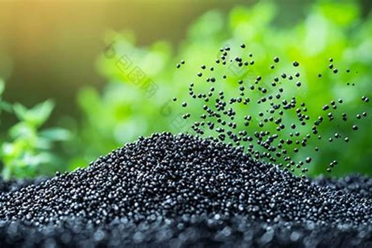 公园里有黑色小可粒撒在小草上的肥料,这些肥料能施吃的菜苗吗？