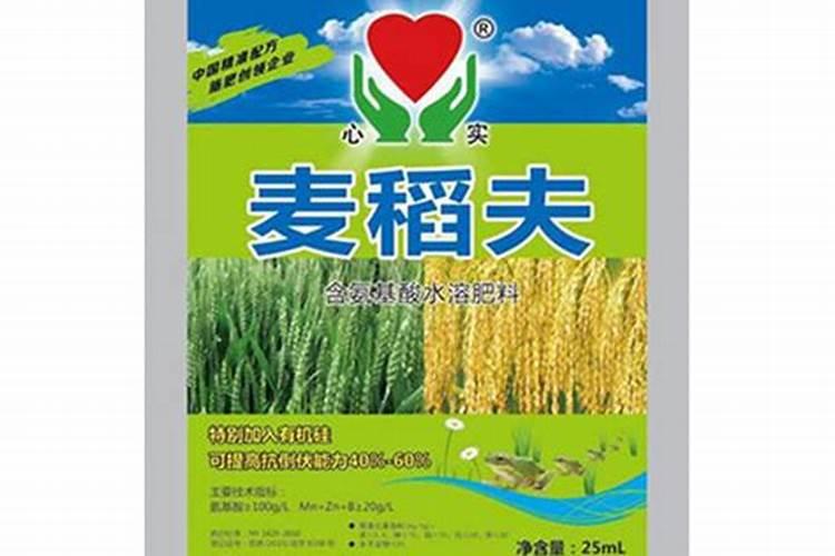 水稻一般施几次肥