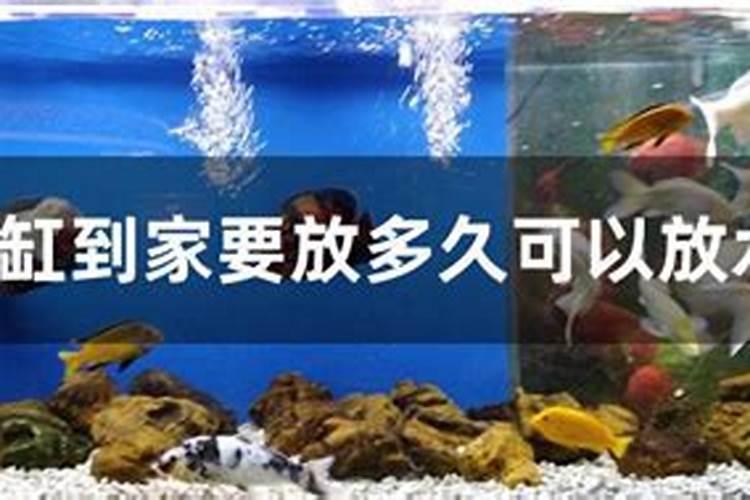 空心菜旱种应该怎么施肥,施什么肥