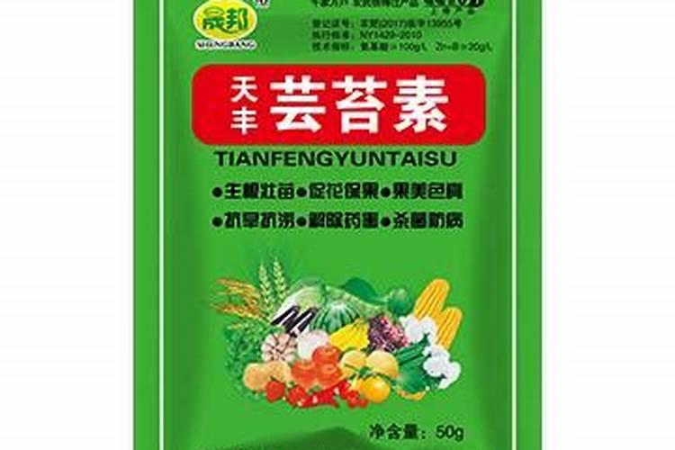 柚子膨果期追肥用什么好？叶面追肥用肥建议