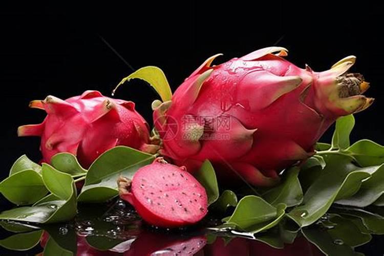 火龙果里的籽叫什么