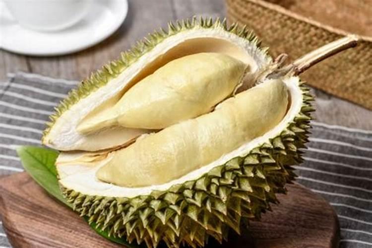 如何种植榴莲最合适？