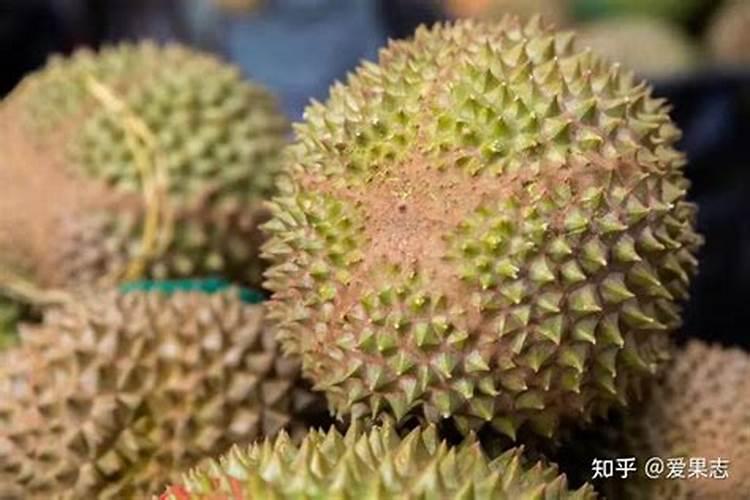 十大含糖量低的水果