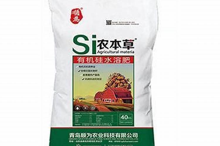 钻石翡翠植物注意事项 钻石翡翠施什么肥