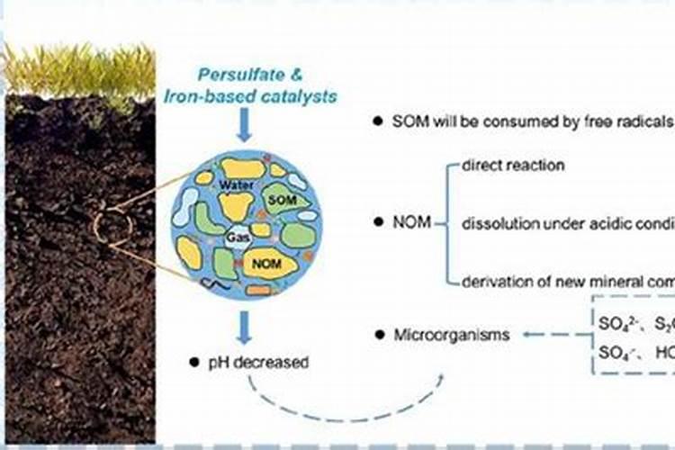 玉米可以用氯化钾肥料吗？