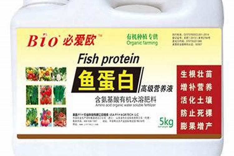 鱼蛋白水溶肥可以浇什么花？