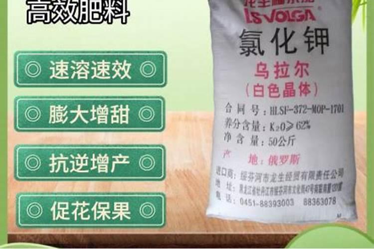 长出青椒的茎为什么越来越粗？