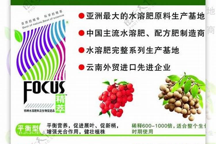 苦瓜施肥烧根怎么办