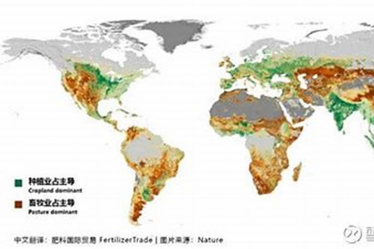 印度耕地面积远超中国,为什么粮食产量不足中国一半？