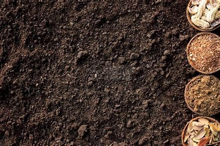 肥料洒在土囊二十多天不种麦有影响吗