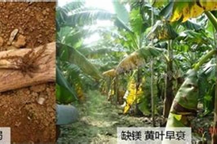 如何选择合适的炭黑分散剂