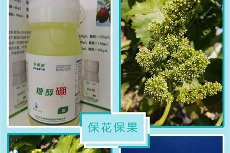 葡萄施钾肥时间和方法