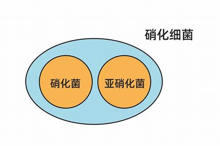 氮肥损失途径有哪些？