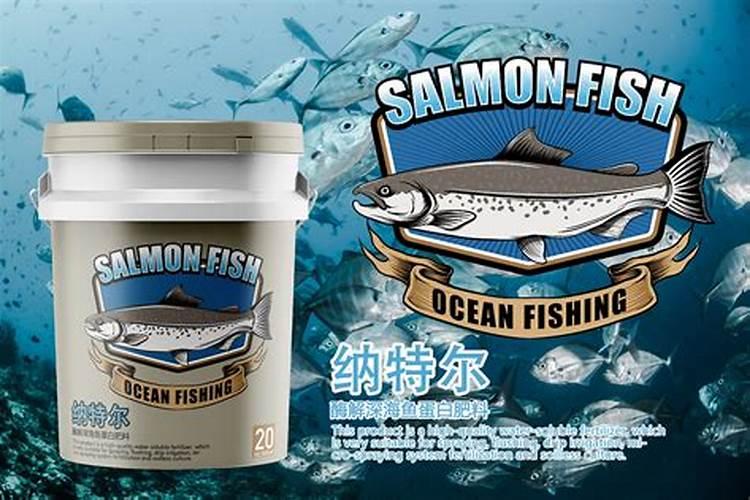 金鱼的鱼卵孵化后怎么饲养
