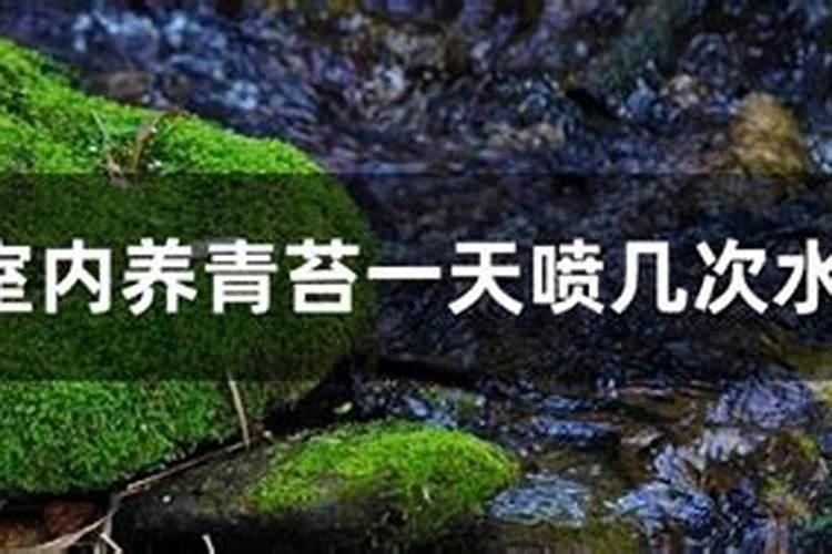 叶面肥什么时间喷最好