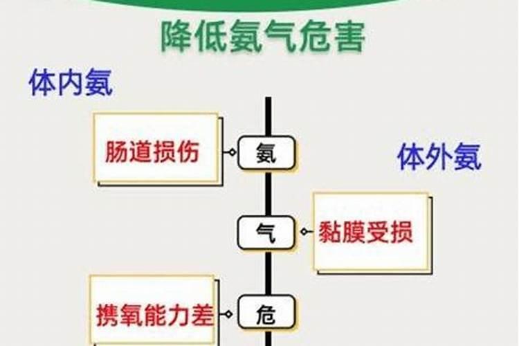 富贵竹怎么浇水,富贵竹用什么水养最好