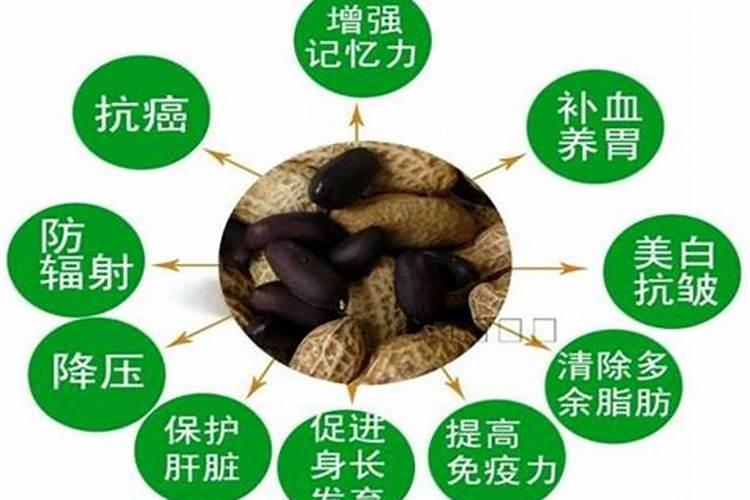 富贵竹需要每天浇水吗富贵竹喜欢喝什么水