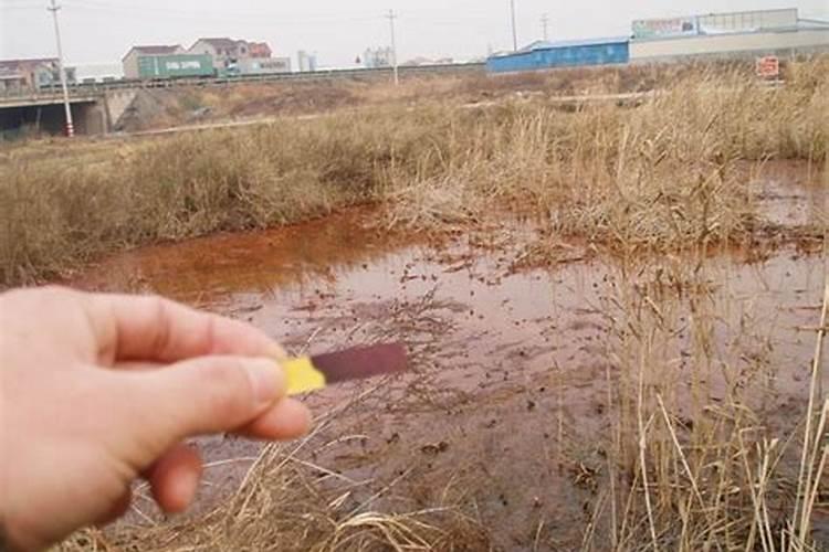 化肥农药导致土壤污染怎么办