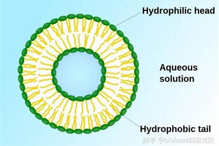 氮肥磷肥钾肥分别有什么作用