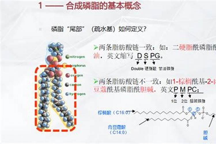 氮肥磷肥钾肥分别有什么作用