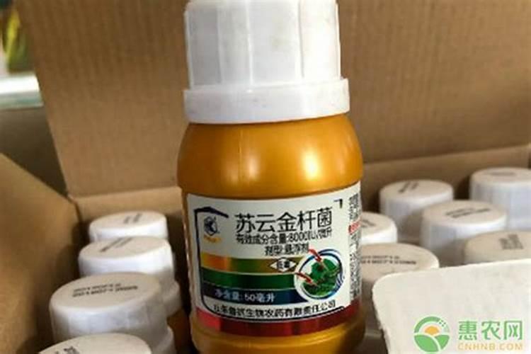 农药与叶面肥混用,哪几点千万要注意？