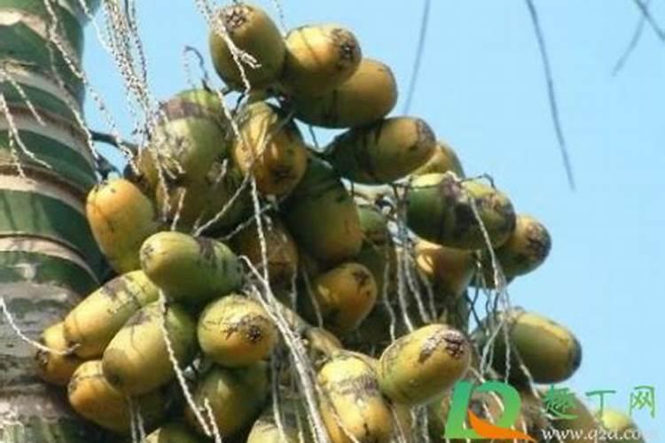 鱼做肥料可直接埋吗