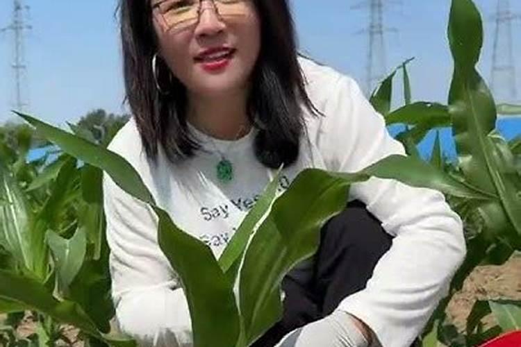 云南磷化工企业排名