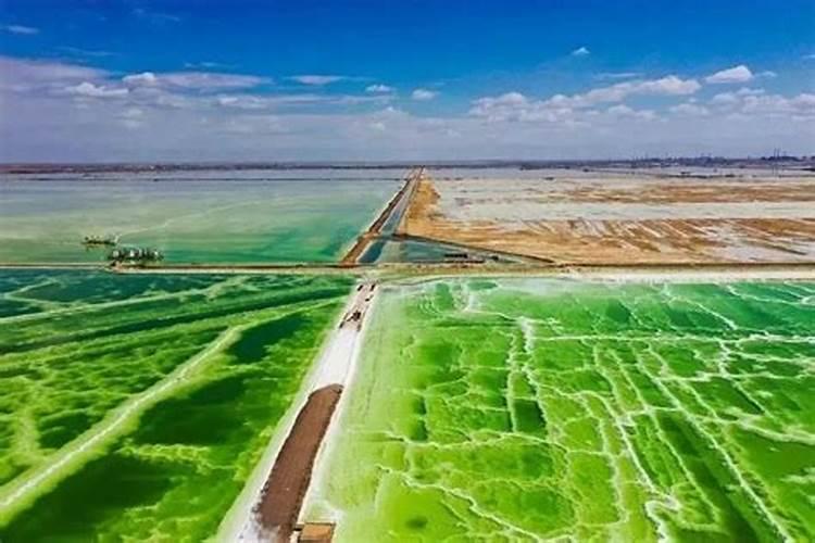 中国最大的氯化钾生产公司