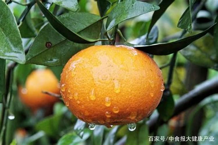 白色污染有哪些危害？