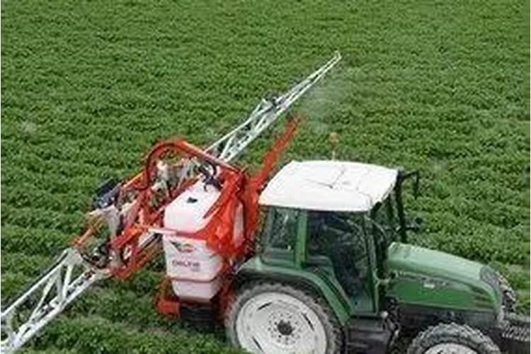 小麦喜欢什么肥料 附用量和用法