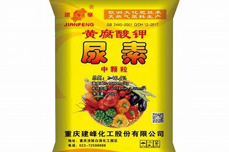 芸苔素内酯哪个厂家好