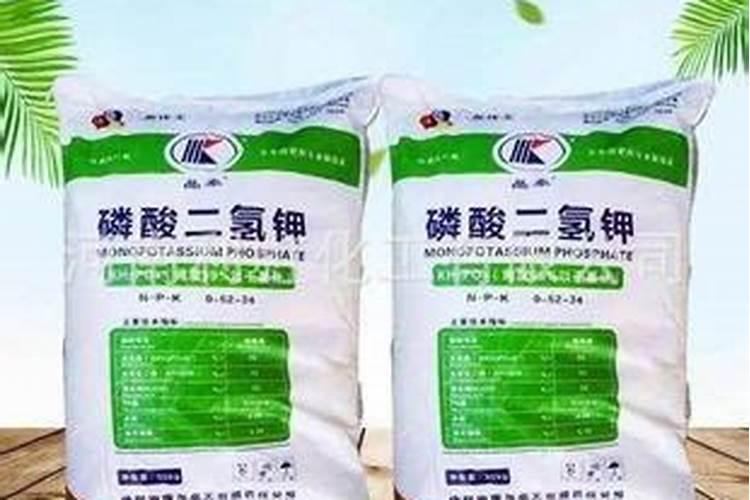 黄瓜什么时候用高钾肥料 怎么施肥提高产量