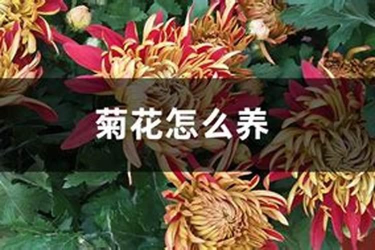 河北沃尔壮和宁奥是一个厂家吗