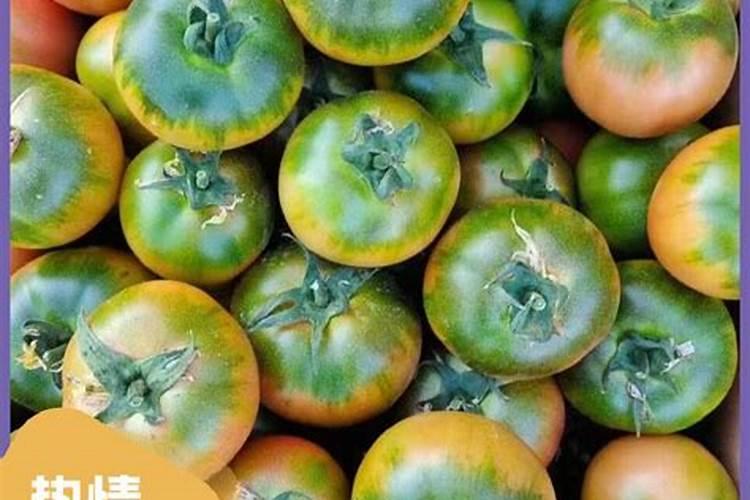 玉米套产用那些药物