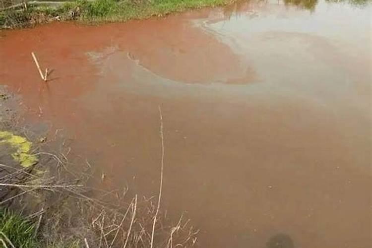 您好上茬种红薯用了多效唑下茬种花生有影响吗？有药物可以解决吗