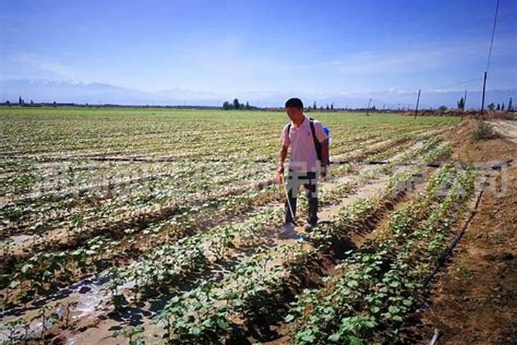水溶肥未来市场趋势？