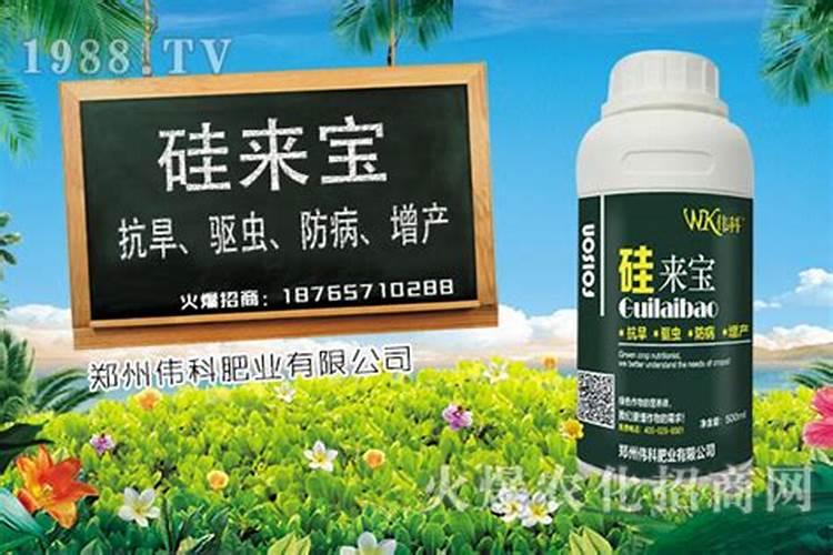 水溶肥价格多少钱一吨