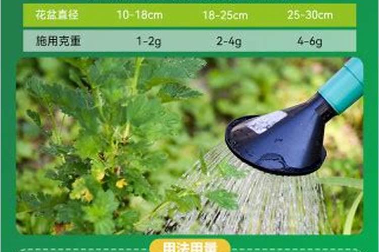 大蒜年后追什么肥料好