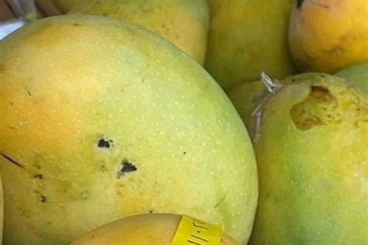 种白菜茬的土地种土豆行不行？