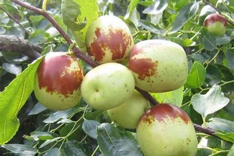 大量氮磷钾肥料产生的后果