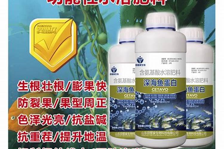 巨峰葡萄转色期间地下冲施海澡鱼蛋白可不可以